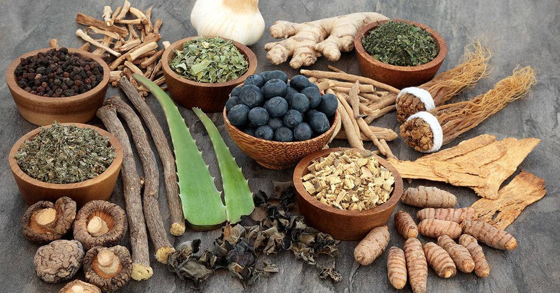 Your Guide To Adaptogens